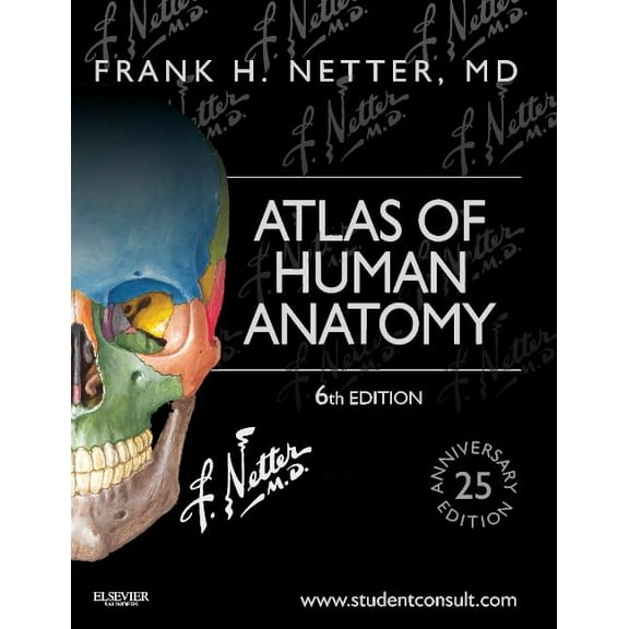 Netter Basic Science: Atlas of Human Anatomy: Including Student Consult Interactive Ancillaries and Guides (Paperback)