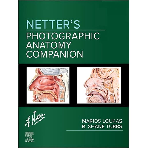 Netter Basic Science Netter's Photographic Anatomy Companion, (Paperback)