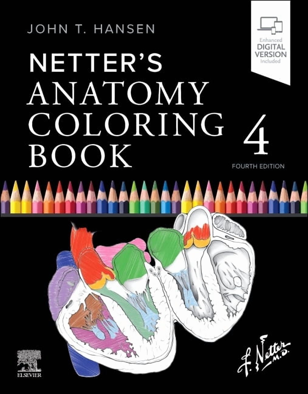 NETTER’s ANATOMY Basic (Netter Edition Updated Book Coloring Anatomy Netter's BOOK COLORING 健康・医学