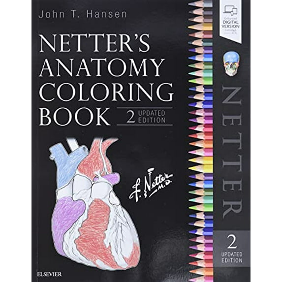 Pre-Owned Netter's Anatomy Coloring Book Updated Edition (Paperback) 0323545033 9780323545037