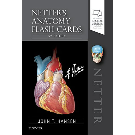 Pre-Owned Netter's Anatomy Flash Cards, 5e (Netter Basic Science) Paperback
