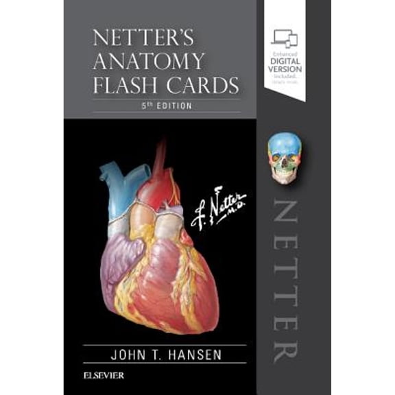 Pre-Owned Netter's Anatomy Flash Cards