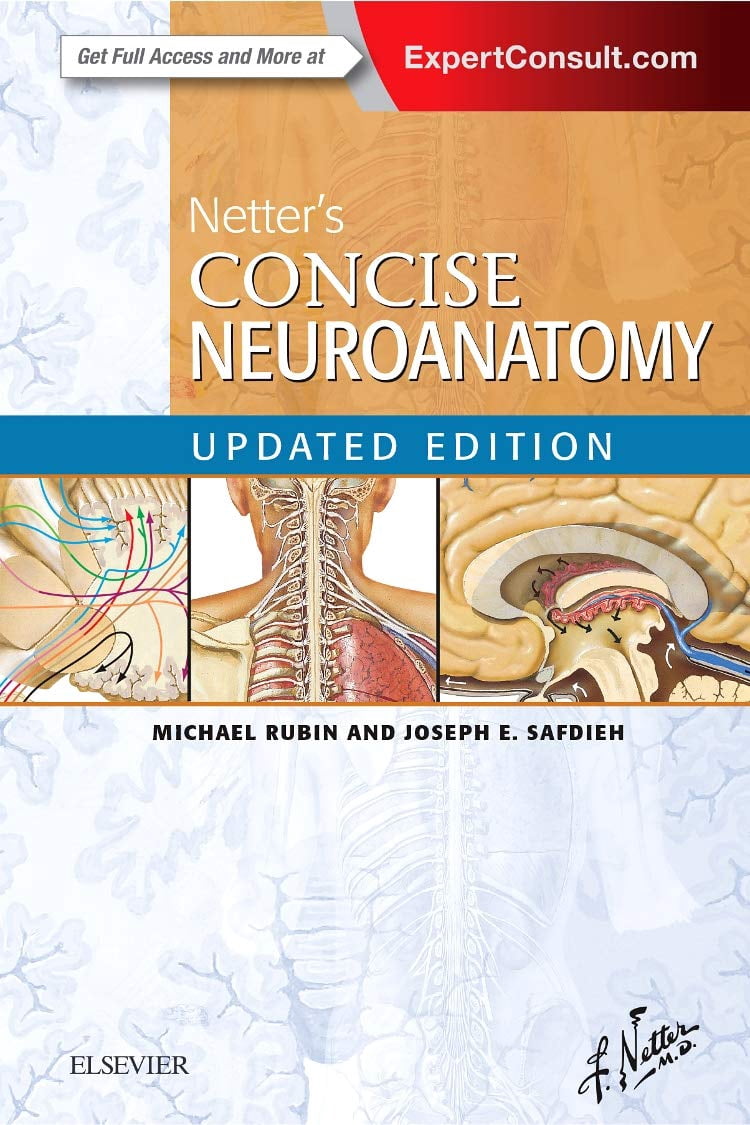 Pre-Owned Netter's Concise Neuroanatomy Updated Edition (Netter ...