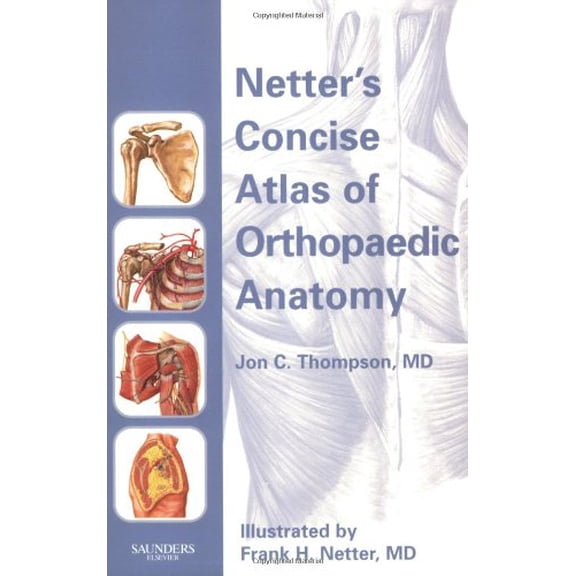 Pre-Owned Netter's Concise Atlas of Orthopaedic Anatomy (Paperback) by Jon C Thompson