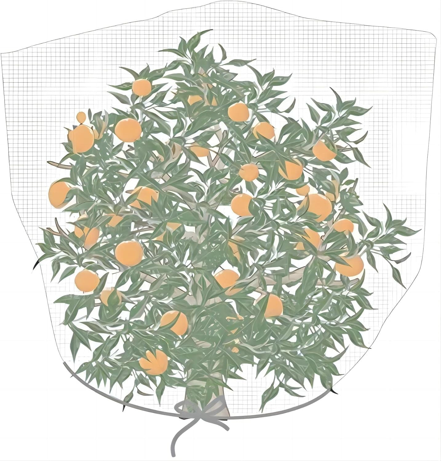 Netting 30" Hx60 W Garden Netting Insect Pest Barrier,Plant Cover Fruit