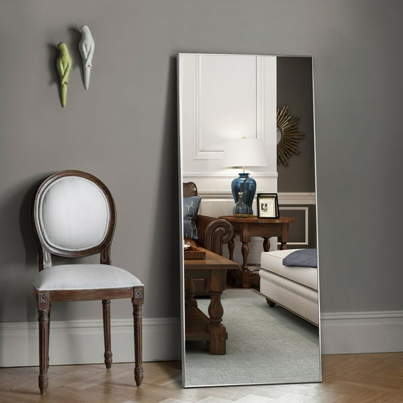 21 in x 46 in Silver Modern Floor Mirror