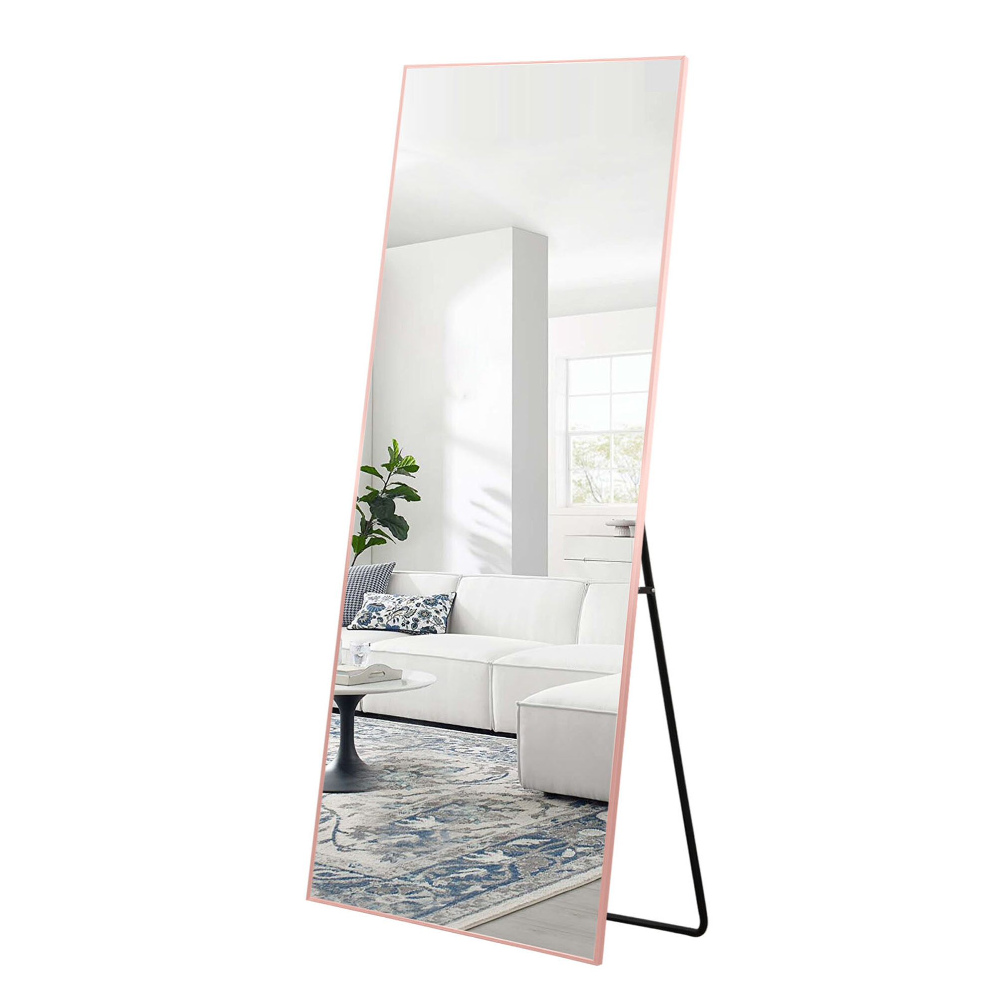 NeuType 22 in x 65 Full Length Mirror Modern Floor Mirror for Bedroom