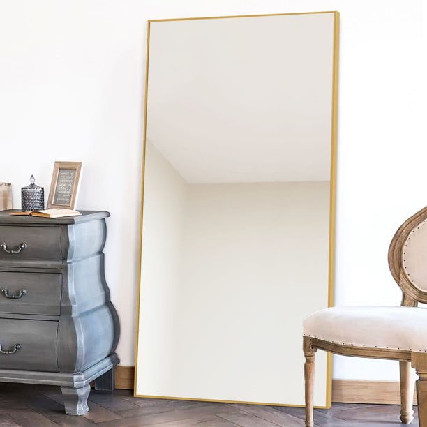 NeuType 71"x24" Gold Modern Full Length Mirror
