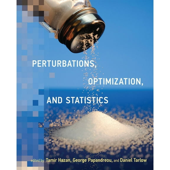 Neural Information Processing Perturbations, Optimization, and Statistics, (Paperback)