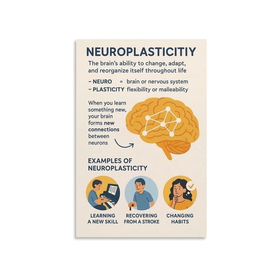Neural Plasticity Brain Science Poster Classroom Office Educational Decor Visual Guide Canvas Wall Art For Living Room Bedroom