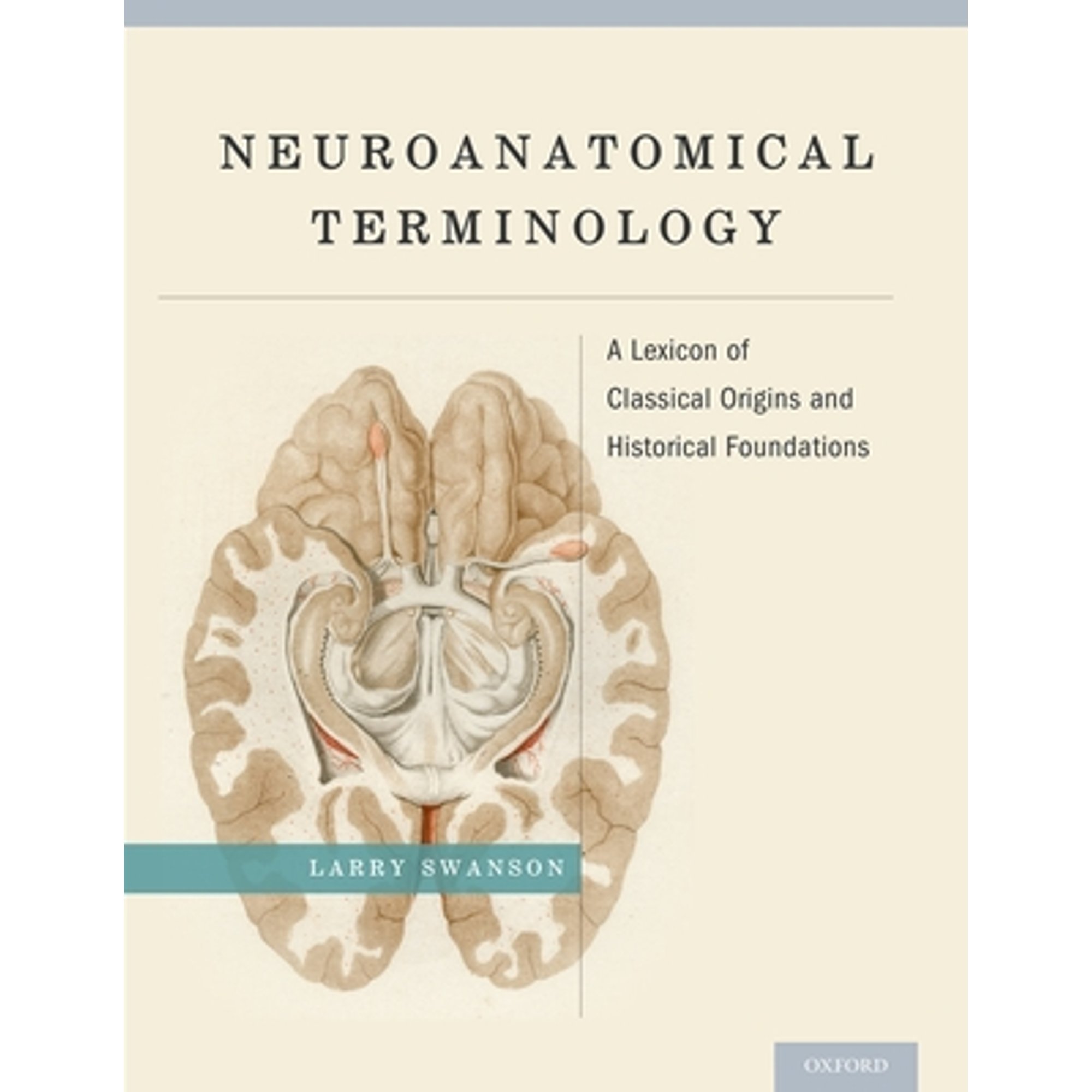 Pre-Owned Neuroanatomical Terminology: A Lexicon of Classical Origins ...