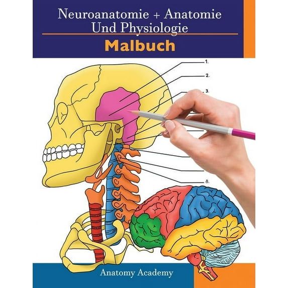 Neuroanatomie + Anatomie und Physiologie Malbuch: 2-in-1-Sammlungssatz Unglaublich detailliertes Arbeitsheft mit Selbstt, (Paperback)