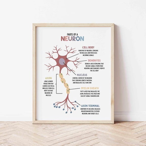 Neuron Educational Science Wall Art Print