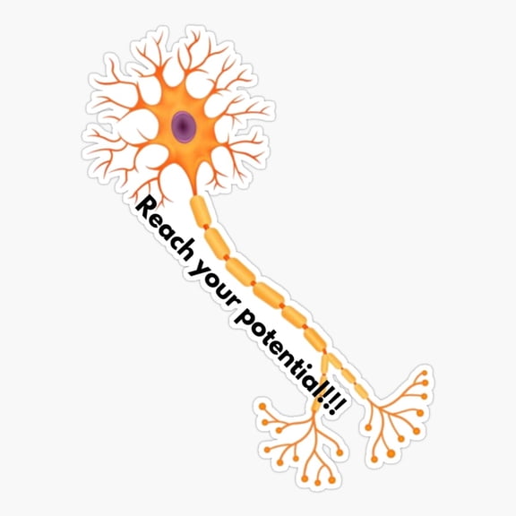 Neuron Science Brain Cell Sticker