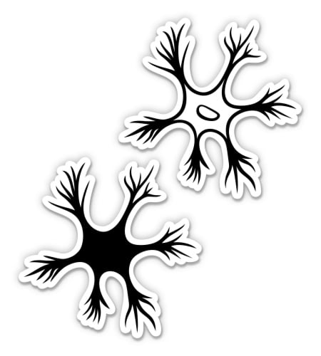 Neurons Science Biology Nerve Cells - 10" Each Vinyl Stickers Waterproof Decals