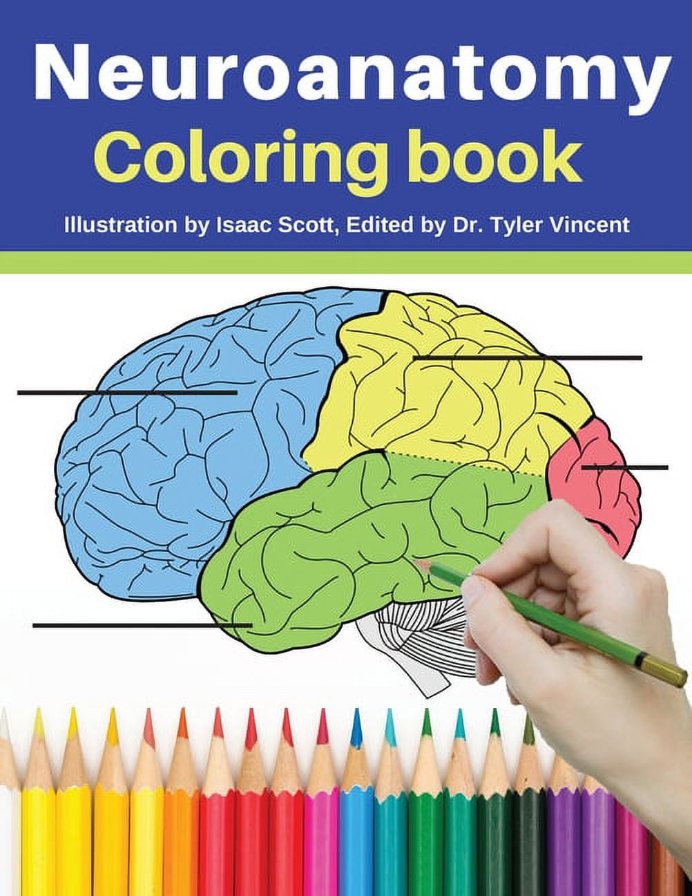 Neuroanatomy Coloring Book: Incredibly Detailed Self-Test Human Brain  Coloring Book for Neuroscience Perfect Gift for Medical School Students,  Nur (Paperback)