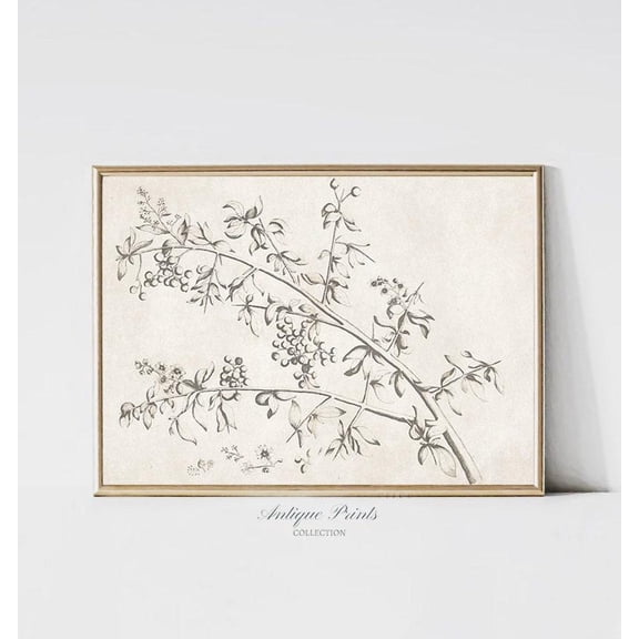 Neutral Branch Sketch Art, Vintage Botanical Print, Horizontal Branch Drawing, Minimalist Simple Wall Art, Farmhouse Decor, Home Decor #1215, 24x36 UNFRAMED