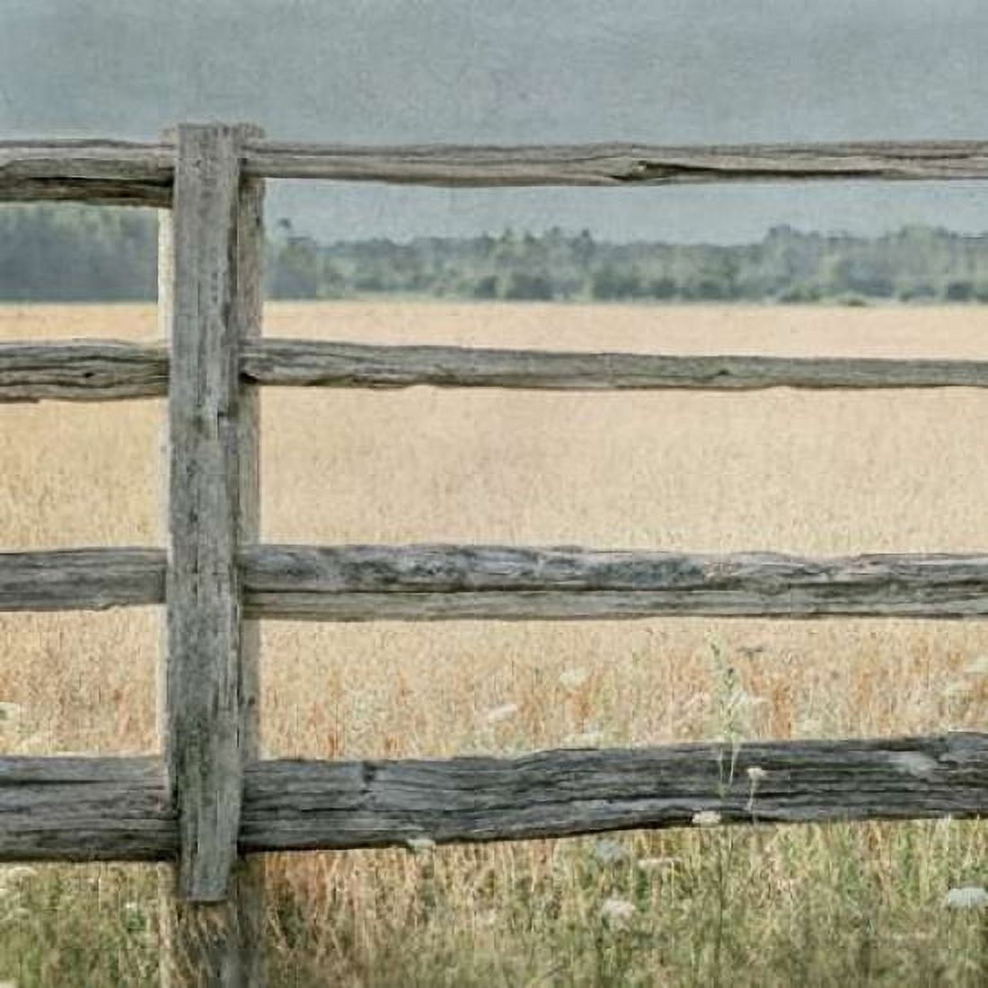 Neutral Country I Crop Canvas Art - Elizabeth Urquhart (24 x 24)