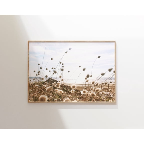 Neutral Dried Grass Print, Boho Pampas Poster, Coastal Reeds Photo, Wall Art, Modern Wall Decor, 12x18 UNFRAMED