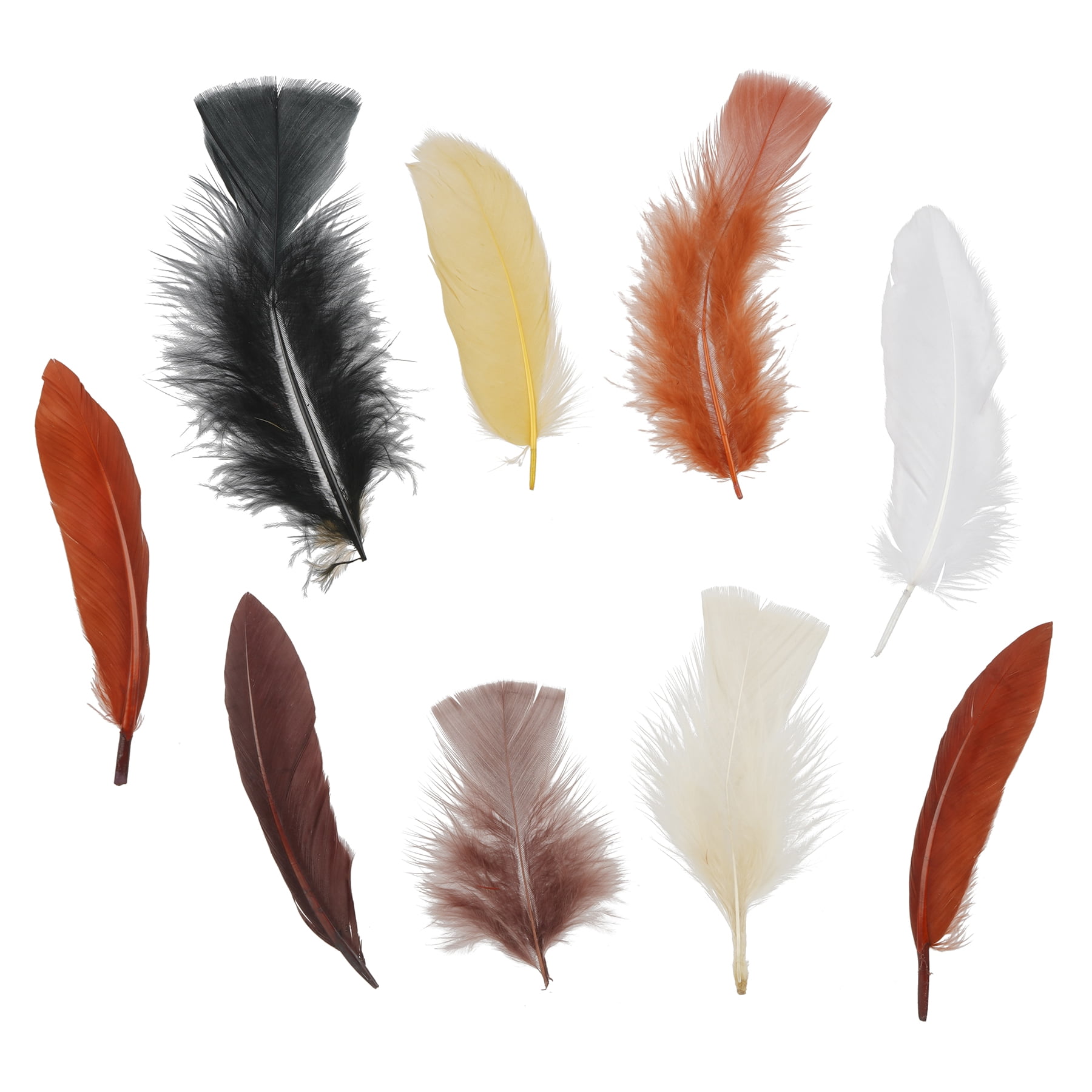 Neutral Multicolor Turkey and Goose Feathers Value Pack