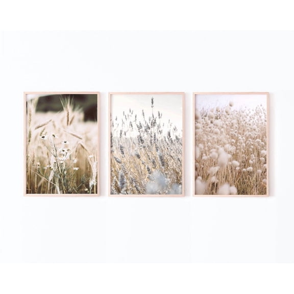 Neutral Field Prints Dried Grass Photo Pampas Grass Boho Nature Set, Stretched Canvas