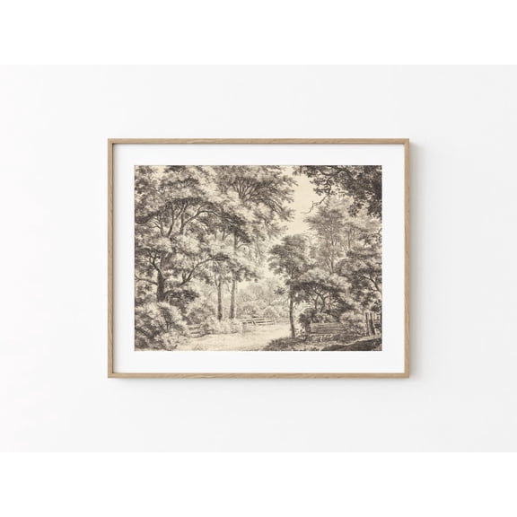 Neutral Forest Drawing Printable Antique Trees Etching Woodland Sketch Print Vintage Woods Country Landscape Wall Art Poster Decor, Unframed Poster Size 8x12 F03.1.22l1
