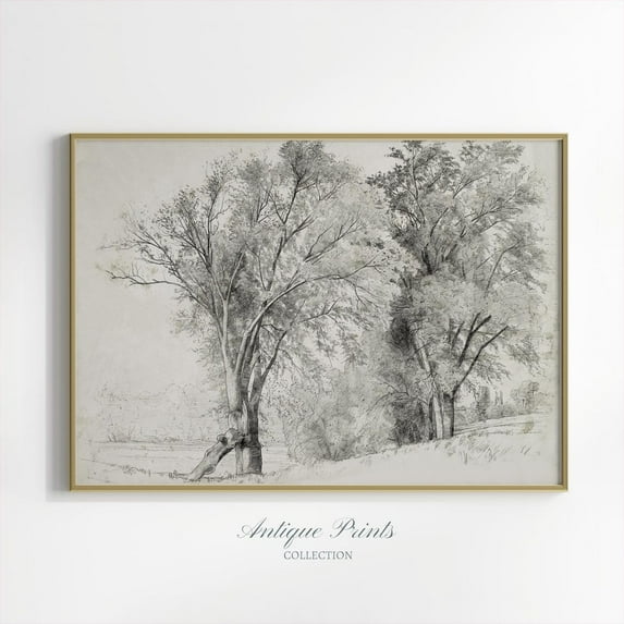 Neutral Forest Sketch Art, Vintage Landscape Drawing, Antique Nature Poster, Neutral Country Sketch, Rustic Farmhouse Decor, 599, Unframed Canvas Size 24x36