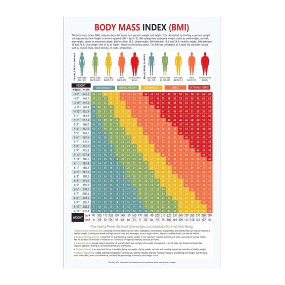 Neutral Health Information Poster BMI Reference Chart for Men and Women Fitness Center Office or Home Studio Decor