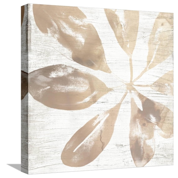 Art.com Neutral Palm Fossil III Stretched Canvas Print Wall Art by June Vess, 16" x 16"