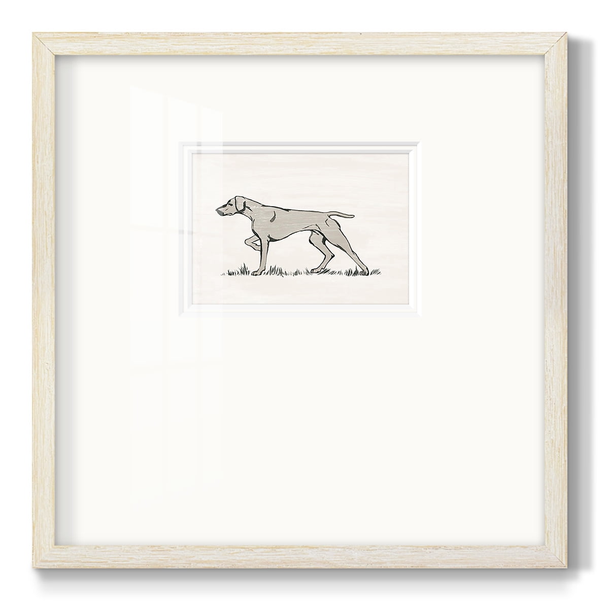 Neutral Pointer IIPremium Framed Print