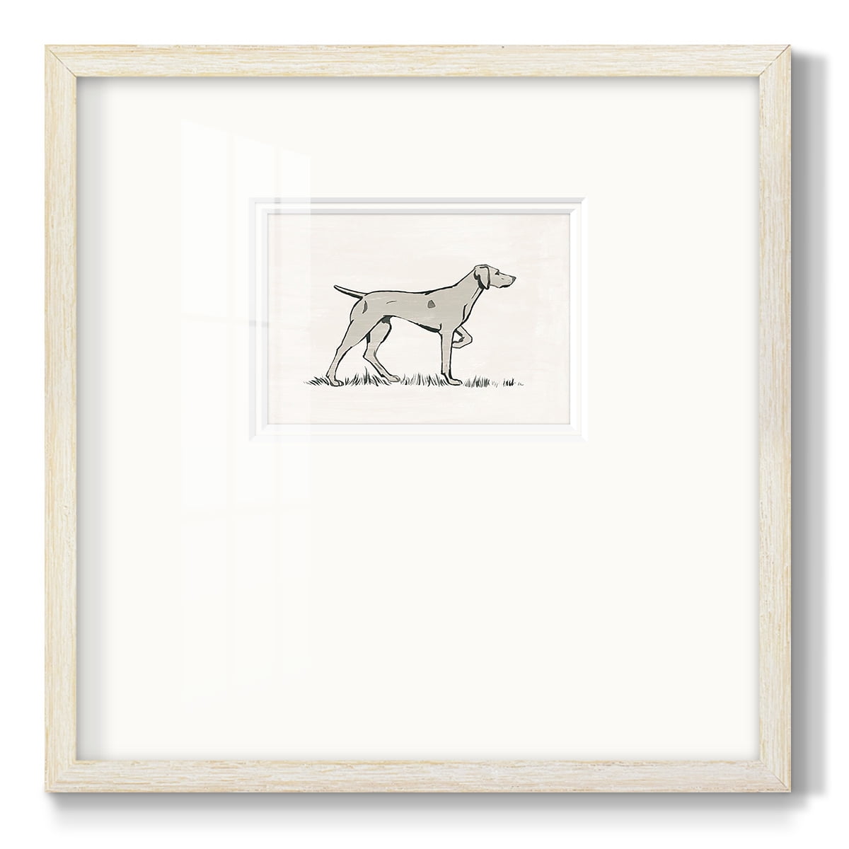 Neutral Pointer IPremium Framed Print