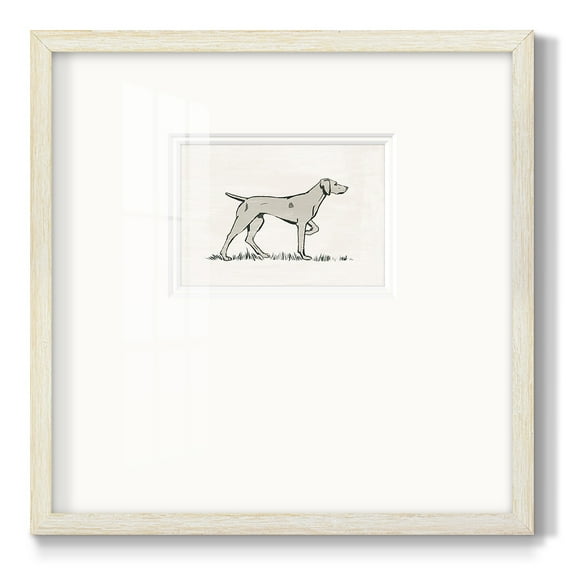 Neutral Pointer IPremium Framed Print