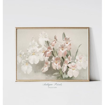 Neutral Still Life Flowers, Vintage Botanical Print, Soft Pink Floral, Antique Blush Wall Art, Nursery Decor, Poster, Unframed Poster Size 8x12