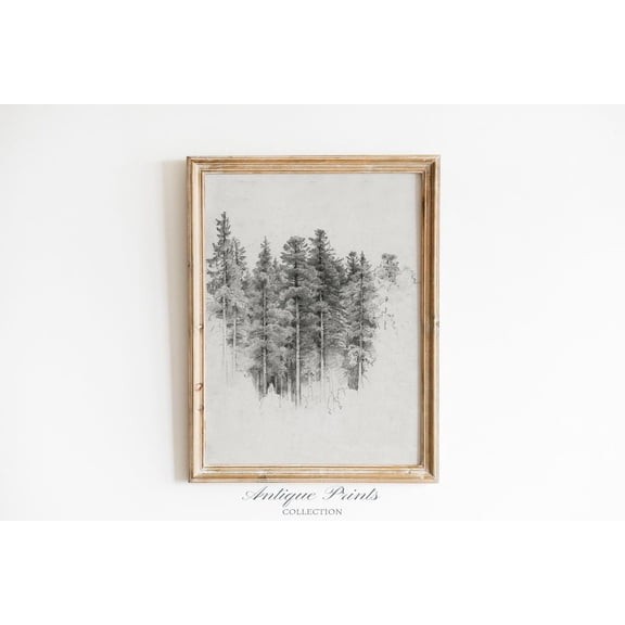 Neutral Tree Sketch Art, Vintage Pine Tree Drawing, Antique Nature Print, Neutral Forest Sketch, Rustic Farmhouse Wall Decor, Home Decor #334, 16x24 UNFRAMED