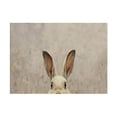 thumbnail image 1 of Neutral Vintage Rabbit Canvas Wall Art with Gold Frame - Rustic Easter Bunny Painting, Farmhouse Country Framed Artwork, Cute Whimsical Wall Decor for Bedroom, Nursery, Living Room, Bathroom, 1 of 8