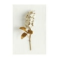 thumbnail image 1 of Neutral Wall Art Abstract Floral Canvas Pictures Beige Flower Wall Decor Modern Painting Minimalist Poster Abstract Botanical Prints White Artwork for Bedroom Living Room 11.8x15.7 Inch Unframed(A), 1 of 6