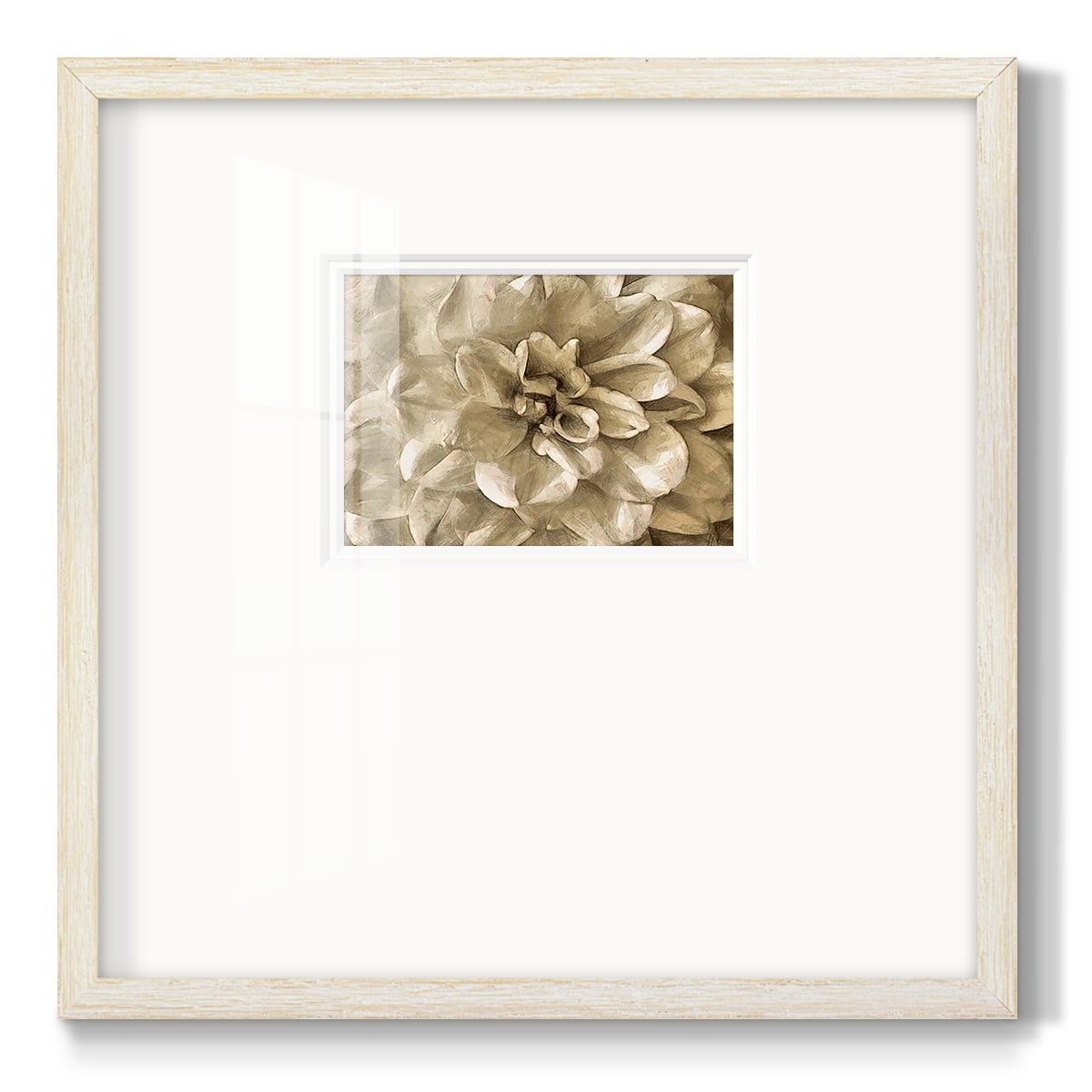 Neutral Wall Flower IIIPremium Framed Print