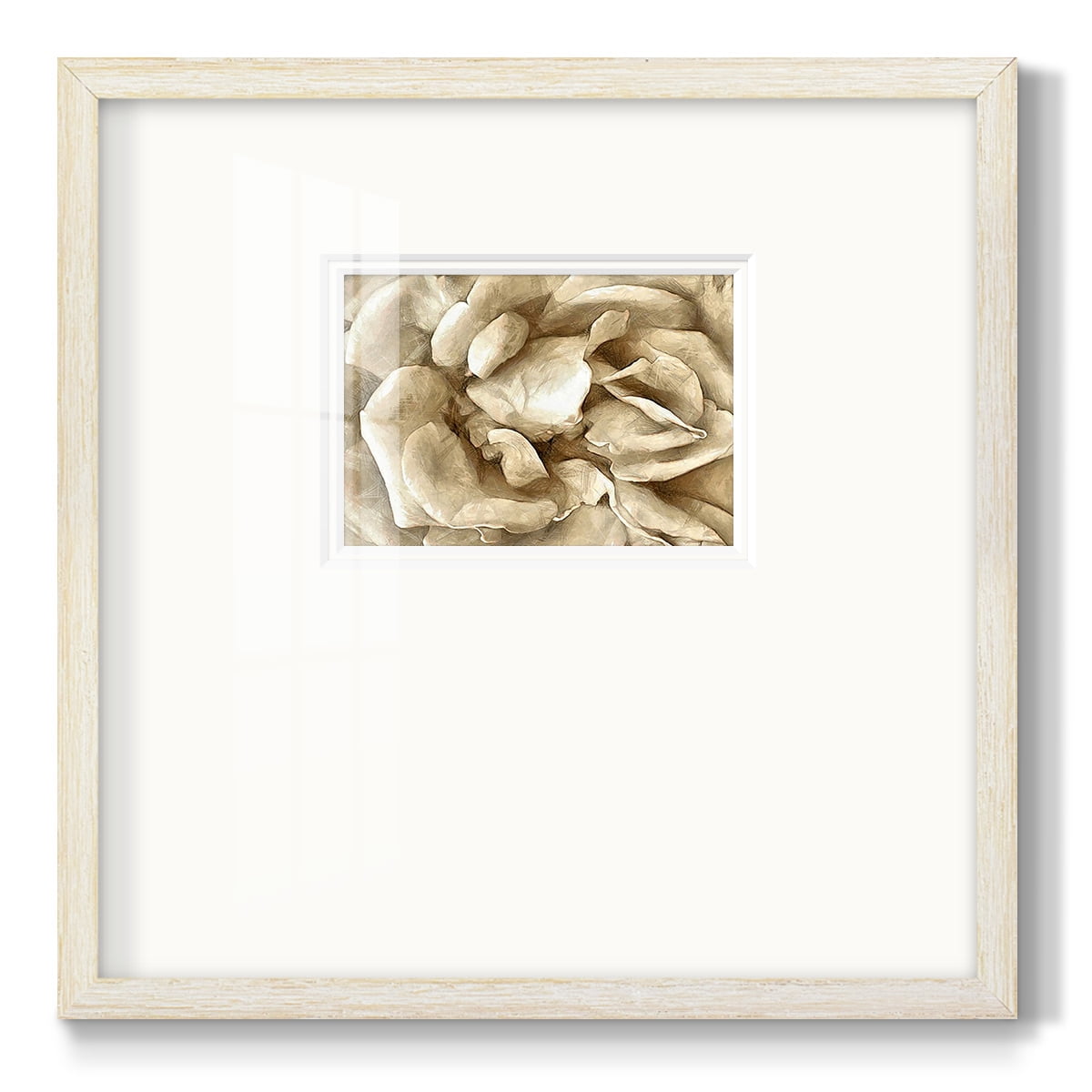 Neutral Wall Flower IIPremium Framed Print