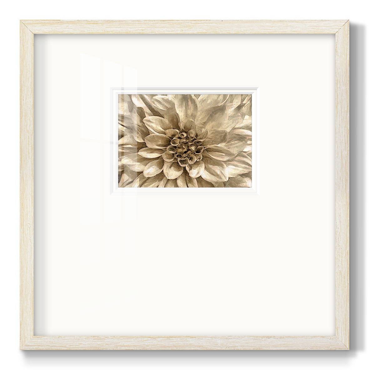 Neutral Wall Flower IPremium Framed Print