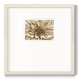 thumbnail image 1 of Neutral Wall Flower IPremium Framed Print, 1 of 5