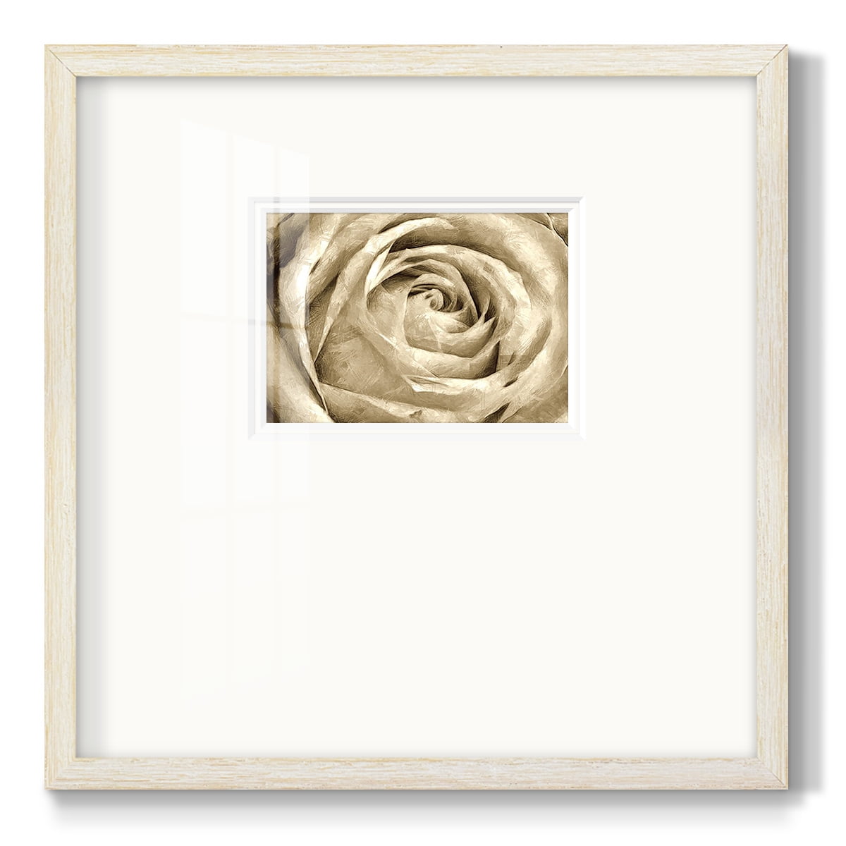Neutral Wall Flower IVPremium Framed Print