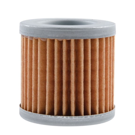 Neutron NT-116 Oil Filter
