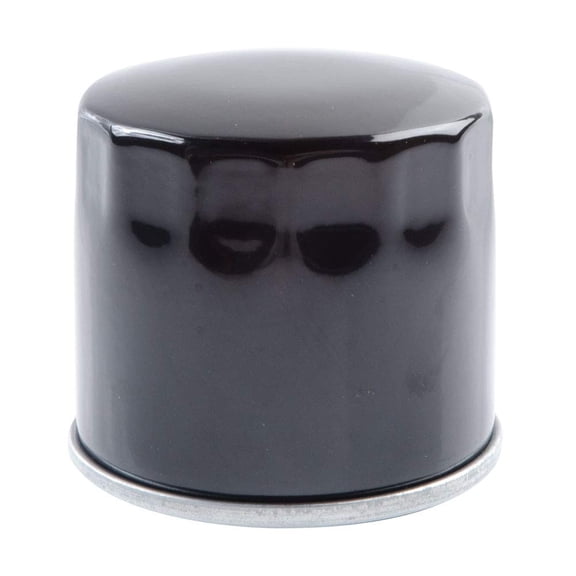 Neutron NT-138 Oil Filter