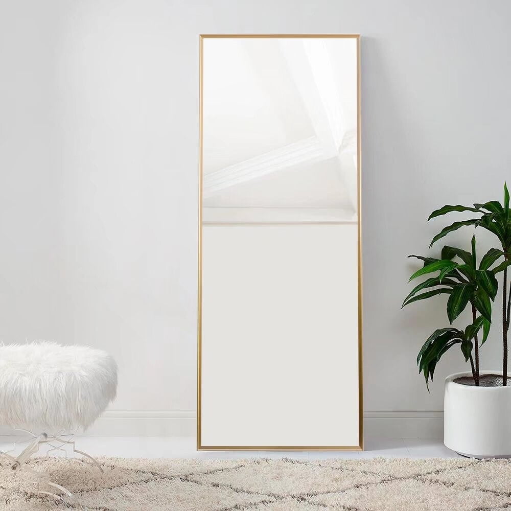 Neutypechic Modern Aluminum Alloy Slim Framed Fulllength Floor Mirror