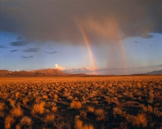 Nevada Desert Rainbow Canvas Art - Panoramic Images (16 x 12)