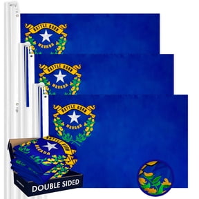 Nevada NV State Flag 3x5FT 3-Pack Double-sided Embroidered Polyester By G128