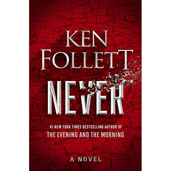 Pre-Owned Never (Hardcover) 0593300017 9780593300015