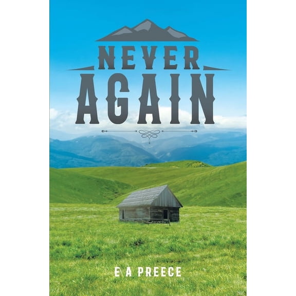 Never Again (Paperback)