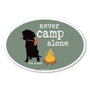 Never Camp Alone Oval Magnet