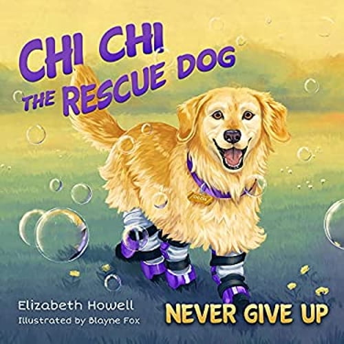 Pre-Owned Never Give Up (Hardcover) 1612545335 9781612545332